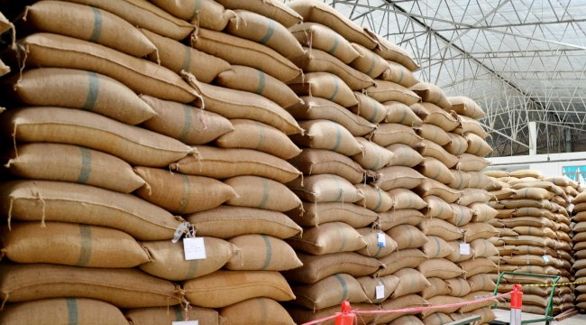 Bags of certified seeds on a pallet await planting season.